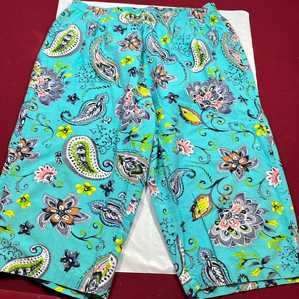 dreams co capris PANTS AQUA big flowers big LIME paisley print 05885 size 18/20